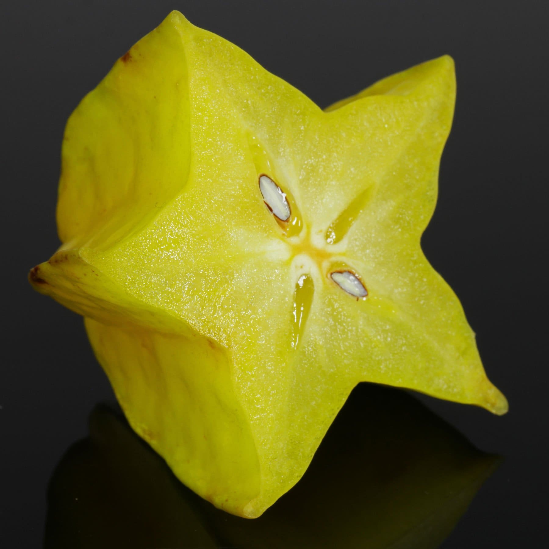 What Is The Aquatic Plant European Starfruit