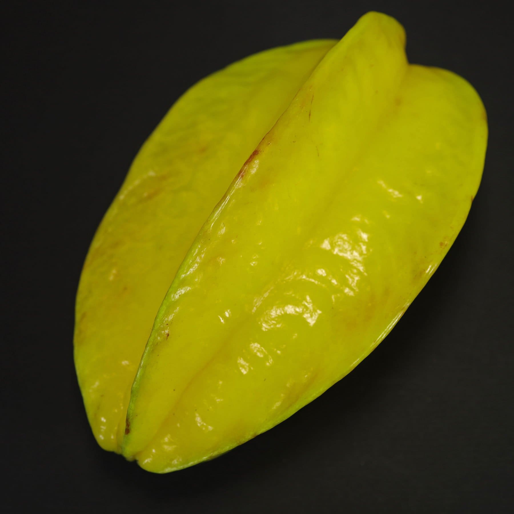 What Is The Aquatic Plant European Starfruit